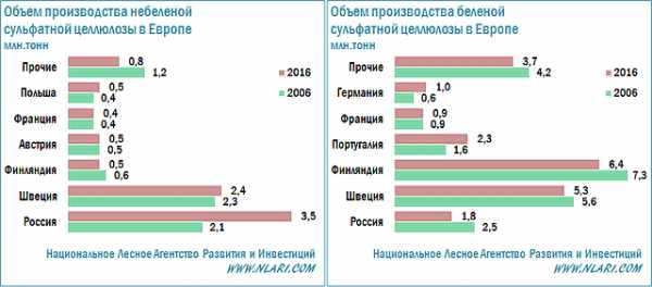 Реферат: Целлюлозно-бумажная промышленность России