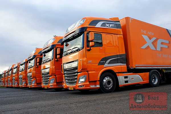 Daf xf фото