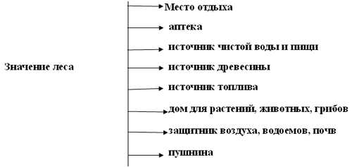 Мир 3 значения. Схема значение леса. Схема значение леса 3 класс. Роль леса в жизни человека схема. Составить схему значение леса.