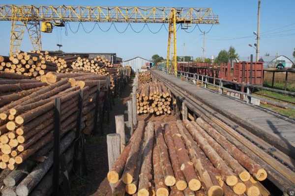 Доклад: Рубки и экспорт древесины в Китай - региональный фокус. Иркутская область