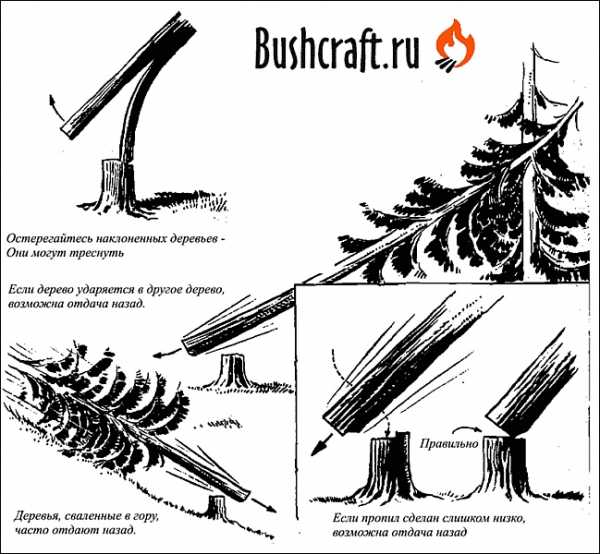 Как спилить дерево бензопилой в нужном направлении схема правильно видео уроки