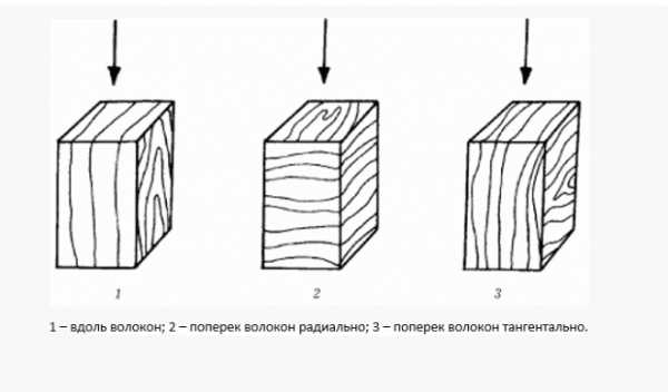 Калина твердость древесины