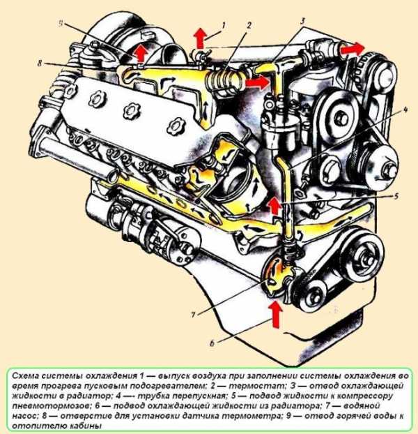 Пневмоусилитель сцепления маз 5337