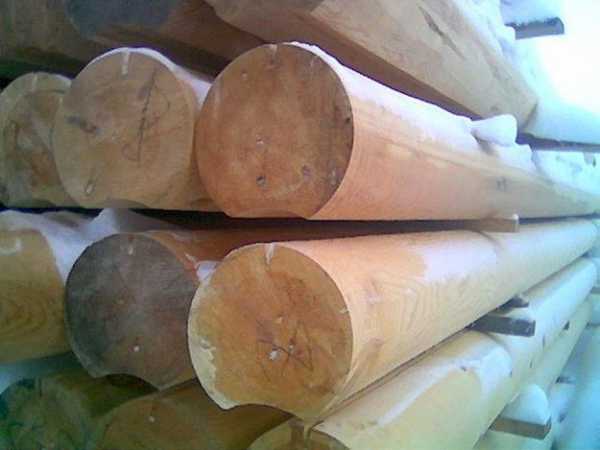 Цвет лиственница: свойства древесины и применение, к какой породе .