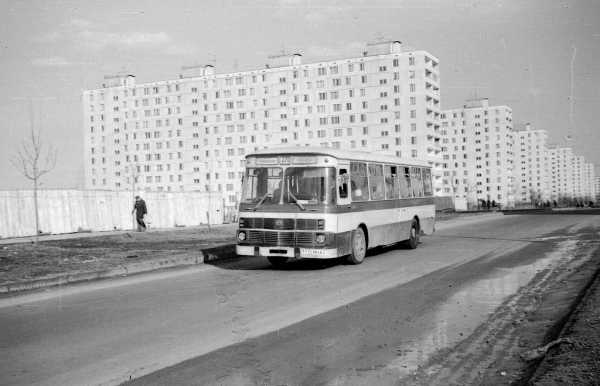 Ликинский автобусный завод фото