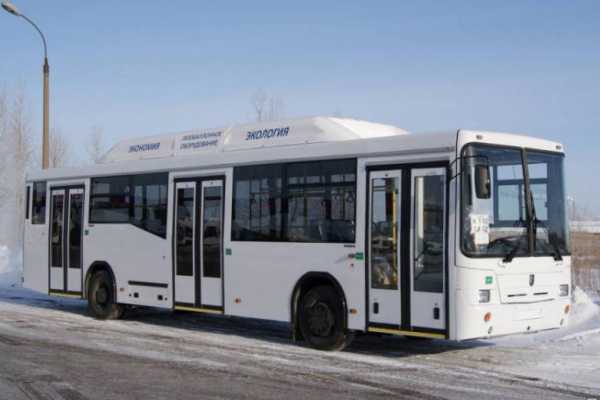 Нефаз туристический автобус фото