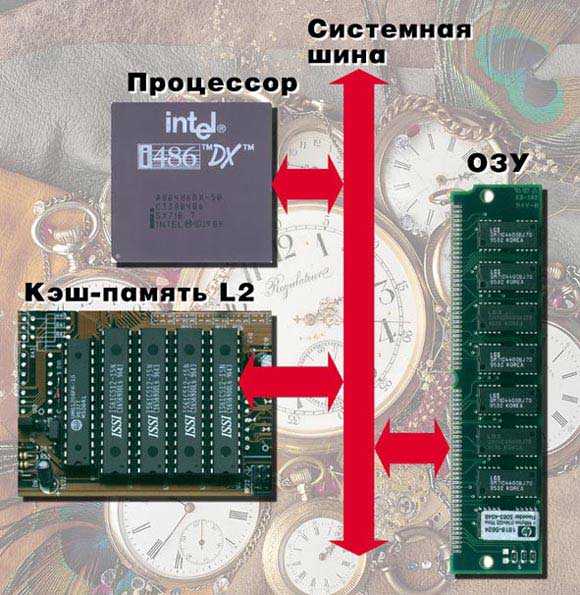 Кэш память 1 уровня. Шина кэш памяти. Память процессора. Кэш процессора. Кэширование процессора.