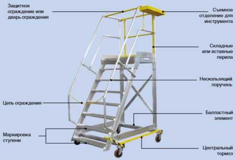 Строение лестницы схема и описание