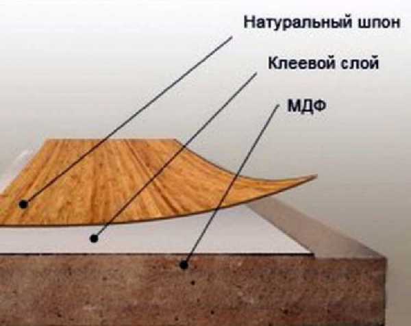 Фанерный нож для шпона