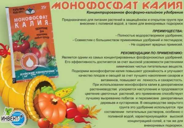 Монофосфат калия применение для томатов в теплице и в открытом грунте