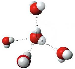 Strukturnaya Formula N2o2 Stroenie Molekuly Acetilena C2h2 Shema I Primery Teploenergoremont