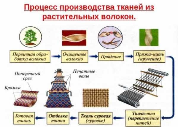 Проанализируйте схему на рисунке 97 какова роль отрасли химической промышленности в хозяйстве страны