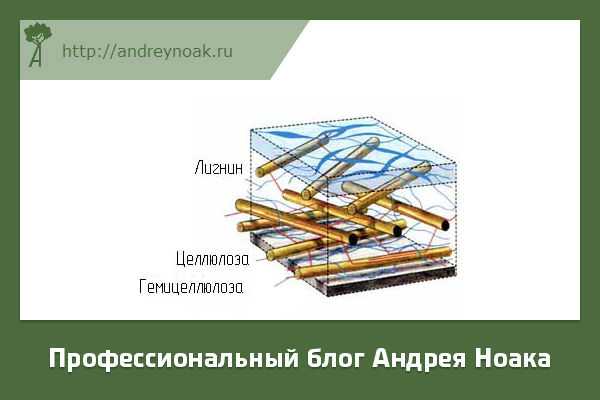 Вещества входящие в состав древесины. Гемицеллюлозы в древесине. Целлюлоза лигнин гемицеллюлоза. Лигнин в древесине. Древесина лигнин и Целлюлоза.