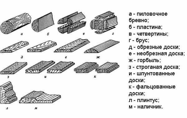 Породы древесины фото с названиями